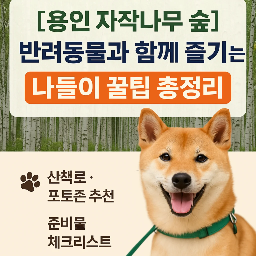 2025년 5월 12일 오후 03 50 33 1