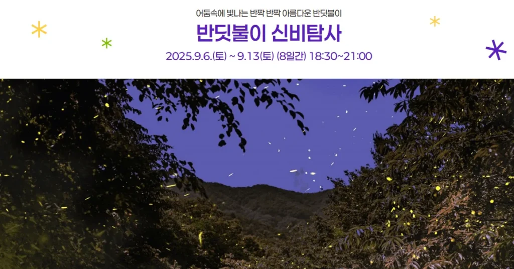 반닷불이탐사 1
