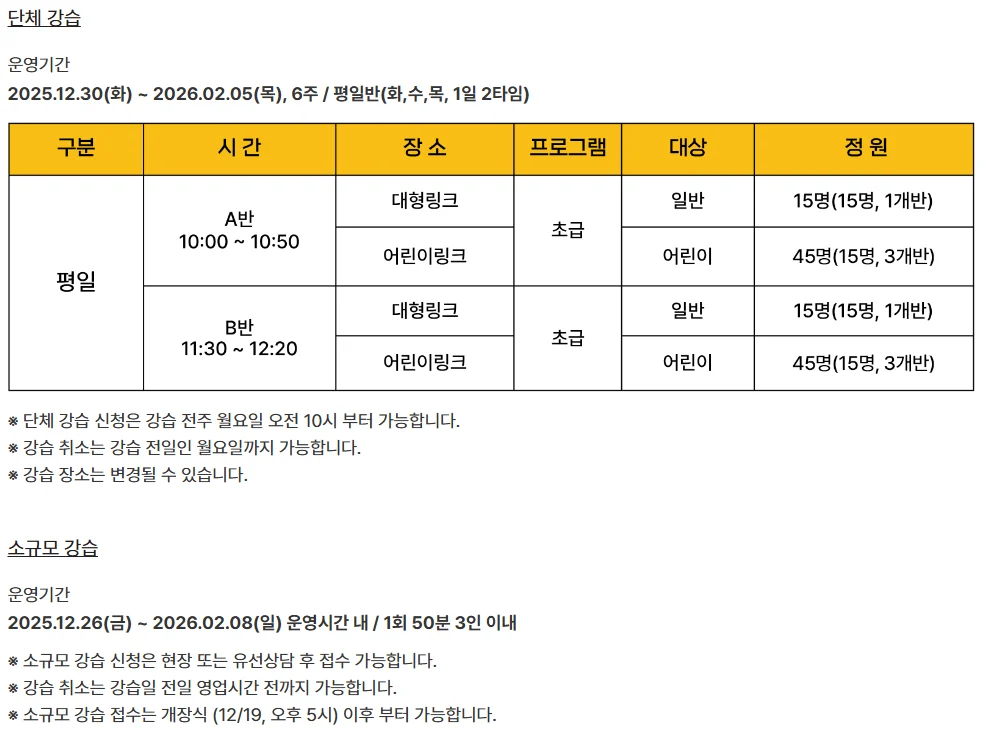 서울광장스케이트장 예매 시작! 위치·운영시간·강습 총정리 5 스케이트장 강습 1
