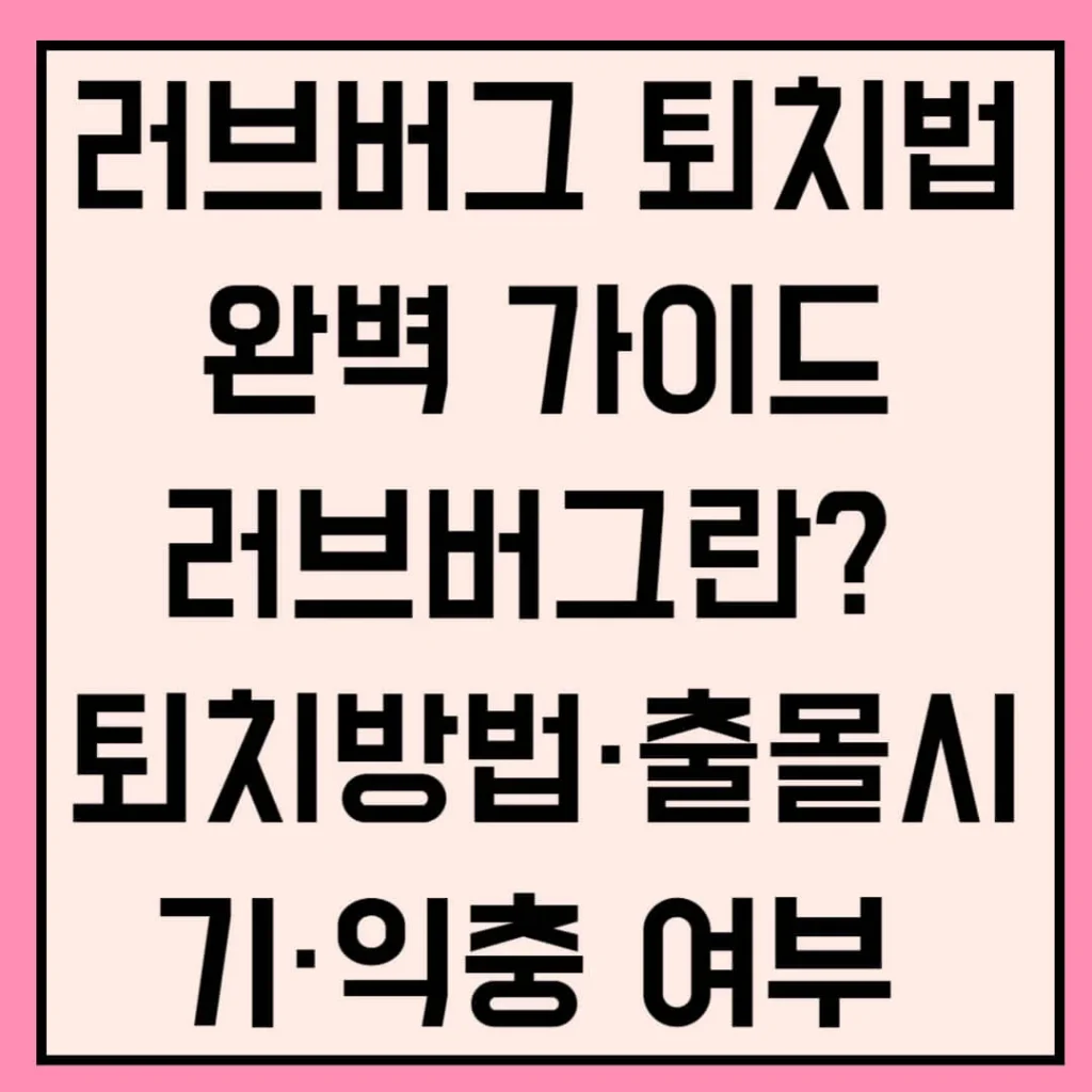제목을 입력해주세요 002 21 1