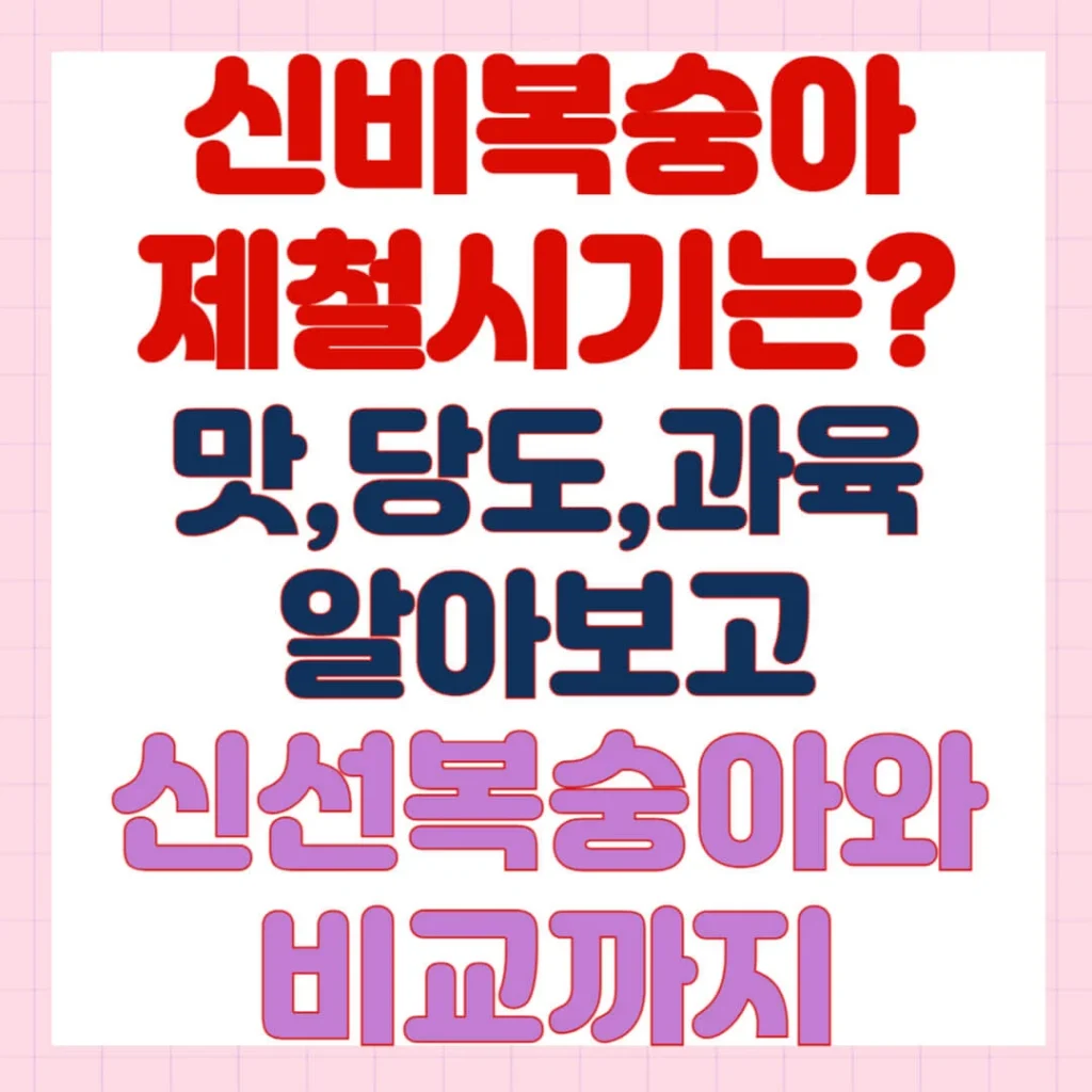 제목을 입력해주세요 005 3 1