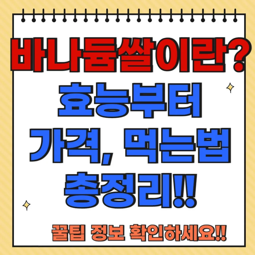 제목을 입력해주세요 005 9 1 1