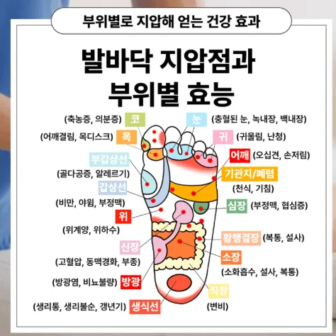 지압 1