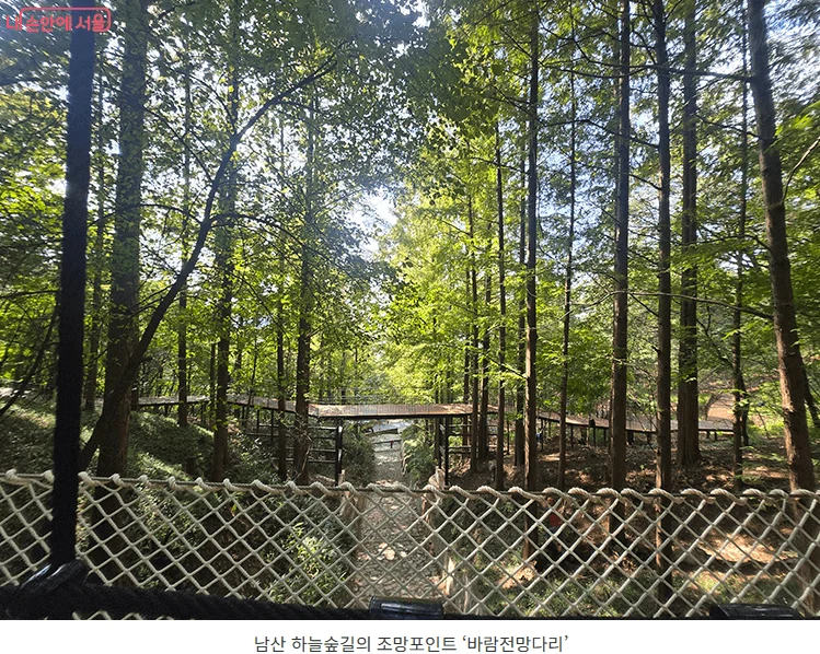 남산하늘숲길 위치부터 지도까지! 걷기 좋은 서울 나들이 코스 2 하늘숲길2 1