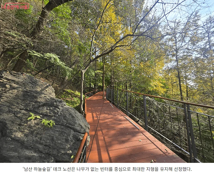 남산하늘숲길 위치부터 지도까지! 걷기 좋은 서울 나들이 코스 5 하늘숲길4 1