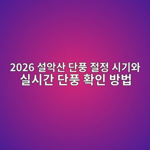 2026 설악산 단풍 절정 시기와 실시간 단풍 확인 방법 2 2026 ec84a4ec9585ec82b0 eb8ba8ed928d eca088eca095 ec8b9ceab8b0ec9980 ec8ba4ec8b9ceab084 eb8ba8ed928d ed9995ec9db8 ebb0a9ebb295 1791381247