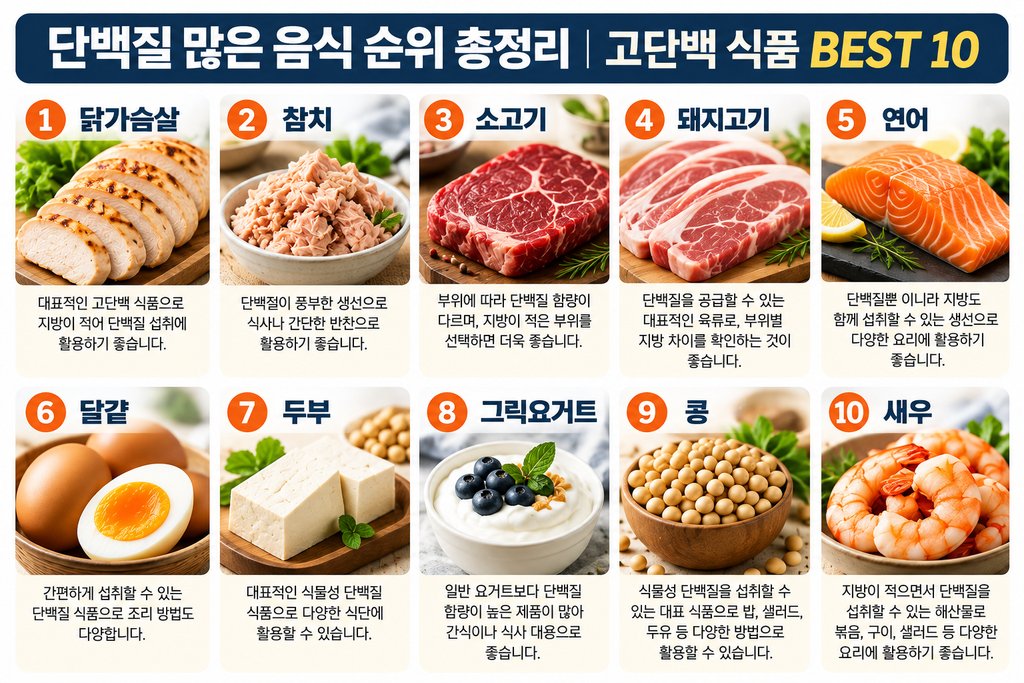 단백질 많은 음식 순위 총정리|고단백 식품 BEST 10 1 단백질 많은 음식 순위 BEST 10 1